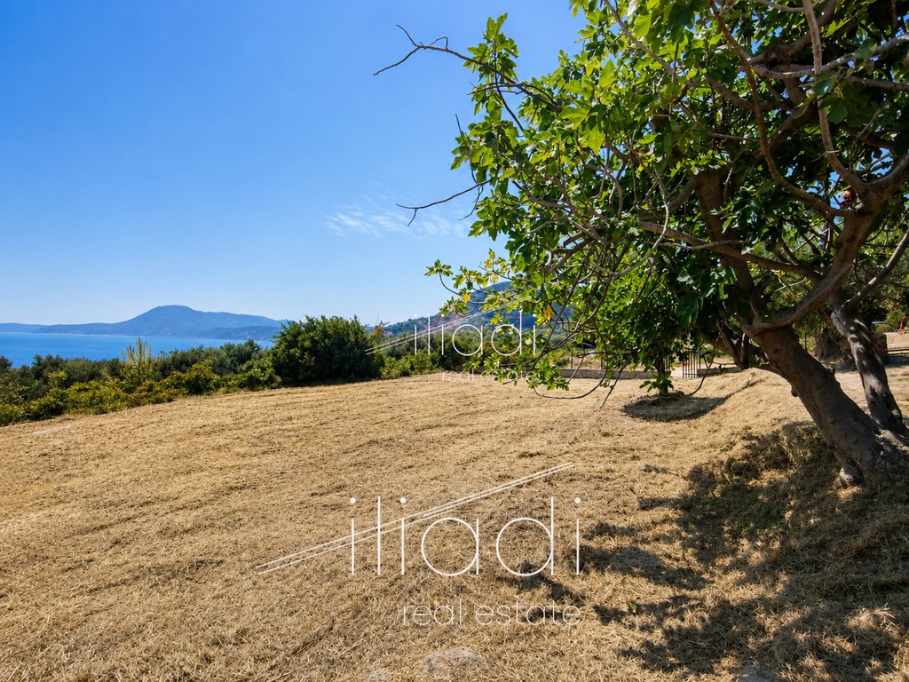 Parcel 1.350 sqm for sale, Evia, Kimi