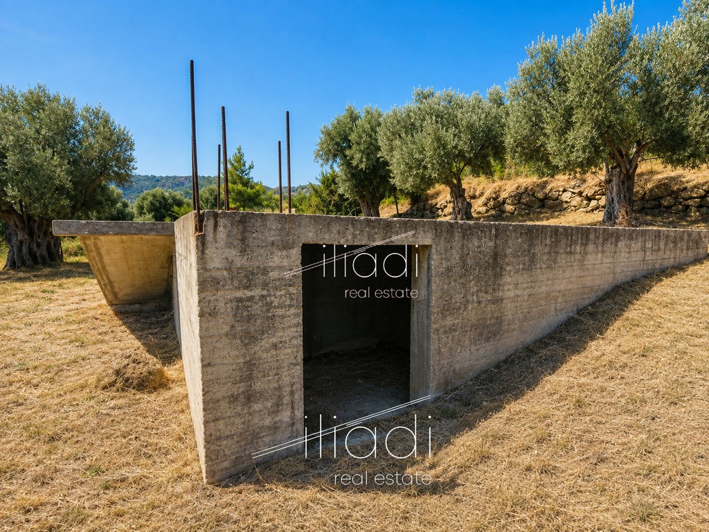 Parcel 1.350 sqm for sale, Evia, Kimi