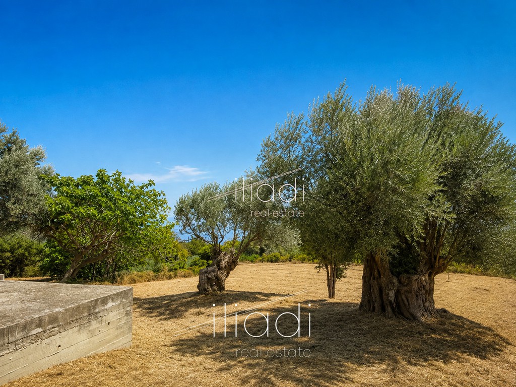 Parcel 1.350 sqm for sale, Evia, Kimi