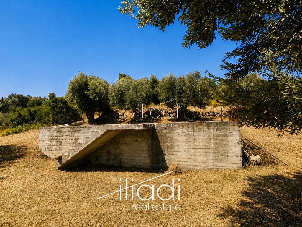 Parcel 1.350 sqm for sale, Evia, Kimi