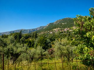 Οικόπεδο 3.106 τ.μ. πρός πώληση, Εύβοια, Κονίστρες-thumb-7