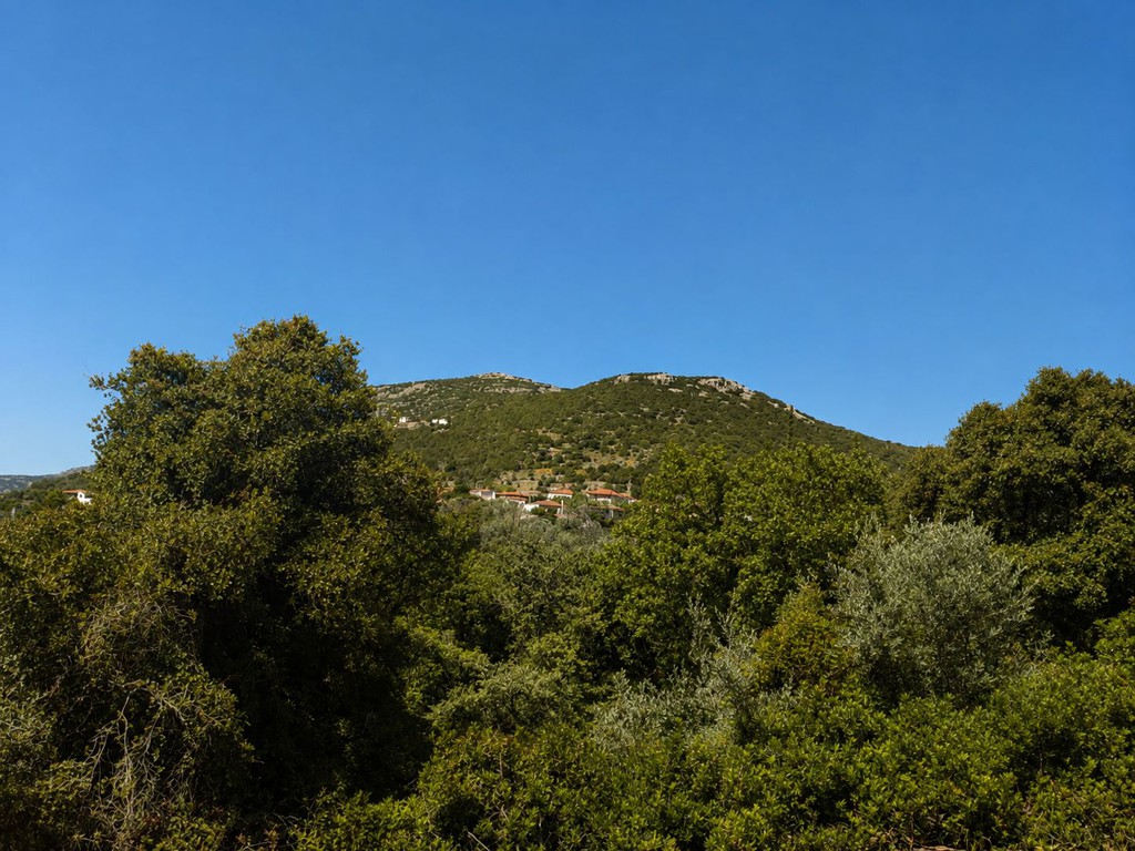 Οικόπεδο 3.106 τ.μ. πρός πώληση, Εύβοια, Κονίστρες