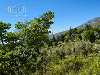 Οικόπεδο 3.106 τ.μ. πρός πώληση, Εύβοια, Κονίστρες-thumb-5