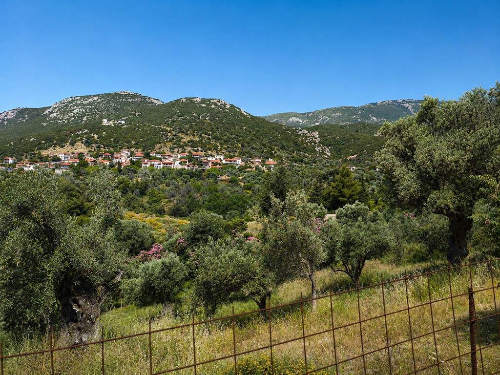 Οικόπεδο 3.106 τ.μ. πρός πώληση, Εύβοια, Κονίστρες