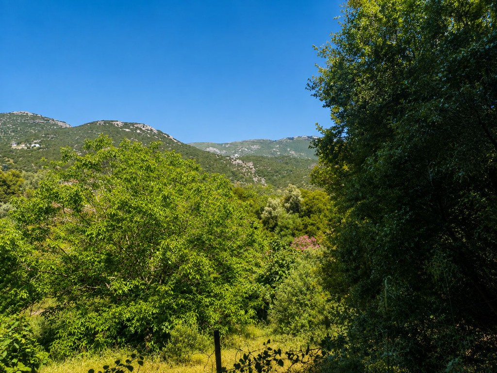 Οικόπεδο 3.106 τ.μ. πρός πώληση, Εύβοια, Κονίστρες