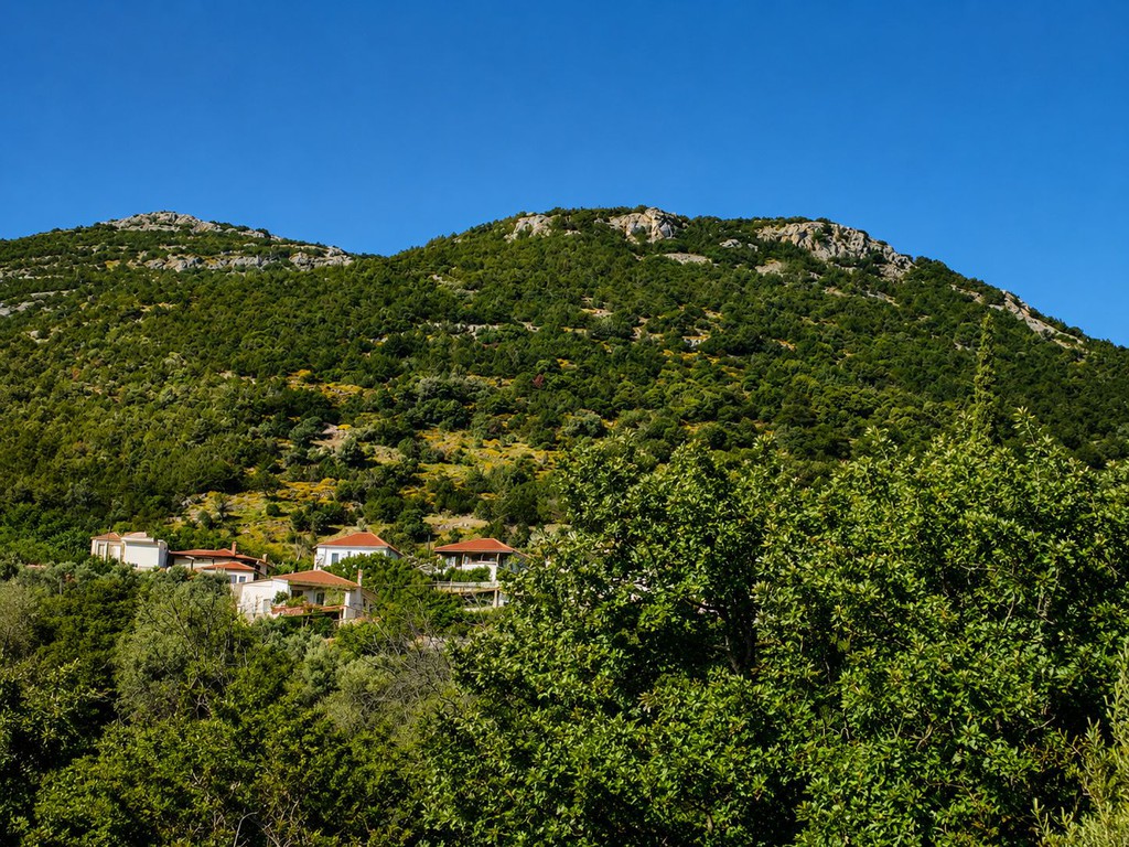 Οικόπεδο 3.106 τ.μ. πρός πώληση, Εύβοια, Κονίστρες