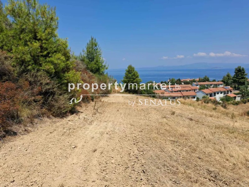 Αγροτεμάχια 4.000 τ.μ. πρός πώληση, Χαλκιδική, Κασσάνδρα