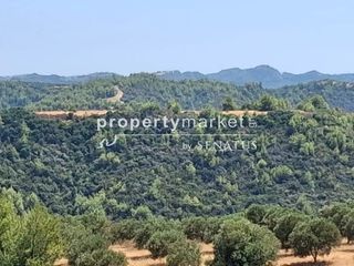 Αγροτεμάχια 4.000 τ.μ. προς πώληση, Κέντρο Κασσάνδρας-thumb-1
