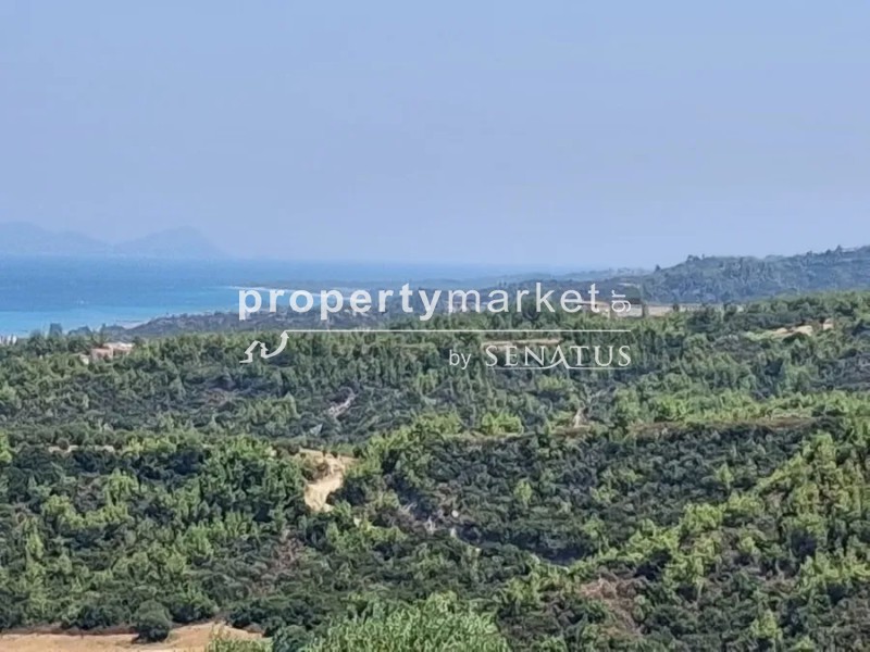 Αγροτεμάχια 4.000 τ.μ. πρός πώληση, Χαλκιδική, Κασσάνδρα
