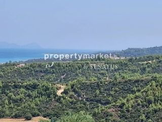 Αγροτεμάχια 4.000 τ.μ. προς πώληση, Κέντρο Κασσάνδρας-thumb-3