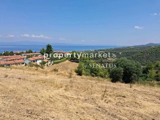 Αγροτεμάχια 4.000 τ.μ. προς πώληση, Κέντρο Κασσάνδρας-thumb-5