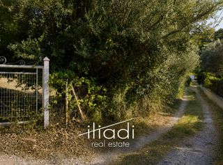 Οικόπεδο 2.883 τ.μ. πρός πώληση, Εύβοια, Κύμη-thumb-1