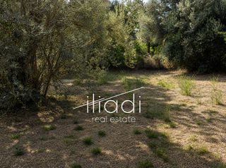 Οικόπεδο 2.883 τ.μ. πρός πώληση, Εύβοια, Κύμη-thumb-9