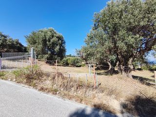 Οικόπεδο 1.749 τ.μ. πρός πώληση, Εύβοια, Κύμη-thumb-23