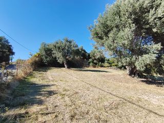 Οικόπεδο 1.749 τ.μ. πρός πώληση, Εύβοια, Κύμη-thumb-20