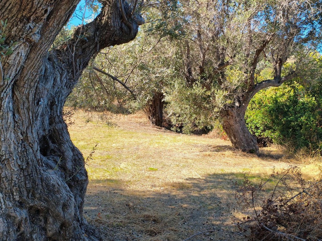 Οικόπεδο 1.749 τ.μ. πρός πώληση, Εύβοια, Κύμη