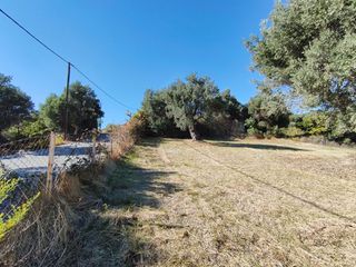 Οικόπεδο 1.749 τ.μ. πρός πώληση, Εύβοια, Κύμη-thumb-19