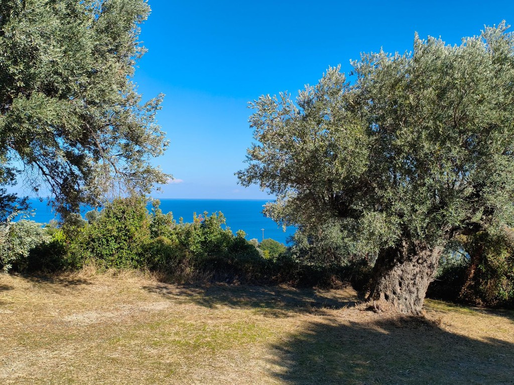 Οικόπεδο 1.749 τ.μ. πρός πώληση, Εύβοια, Κύμη