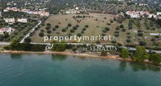 Αγροτεμάχια 74.557 τ.μ. για πώληση