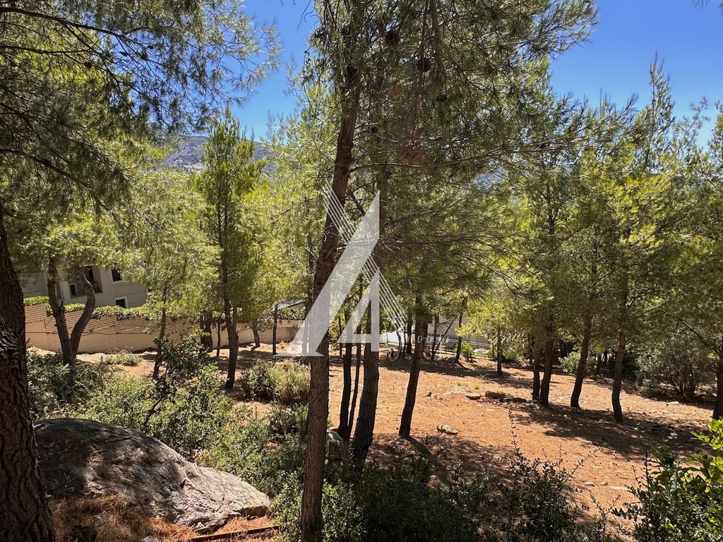 Οικόπεδο 800 τ.μ. πρός πώληση, Αθήνα - Βόρεια Προάστια, Διόνυσος