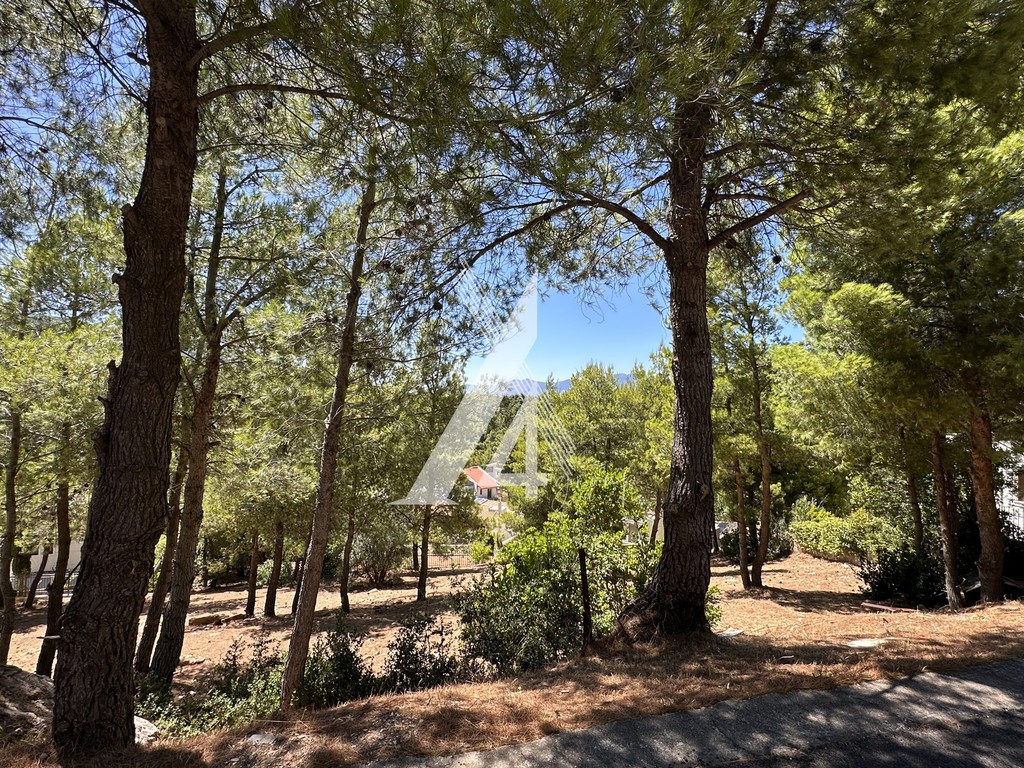 Οικόπεδο 800 τ.μ. πρός πώληση, Αθήνα - Βόρεια Προάστια, Διόνυσος