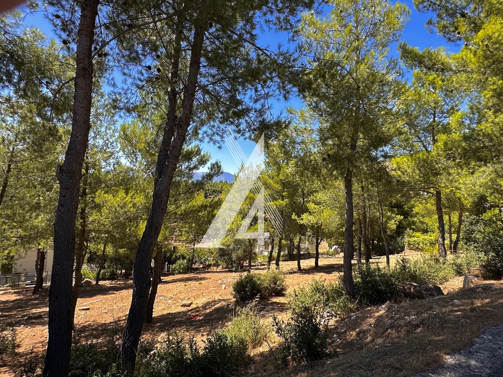 Οικόπεδο 800 τ.μ. πρός πώληση, Αθήνα - Βόρεια Προάστια, Διόνυσος