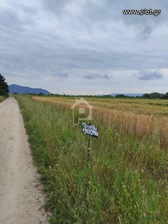 Αγροτεμάχια 18.700 τ.μ. προς πώληση, Κανατάδικα