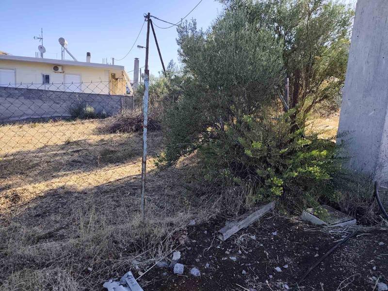 Οικόπεδο 900 τ.μ. πρός πώληση, Βοιωτία, Θήβα