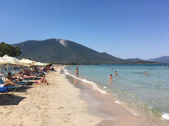 Οικόπεδο 290 τ.μ. πρός πώληση, Εύβοια, Ανθηδώνος