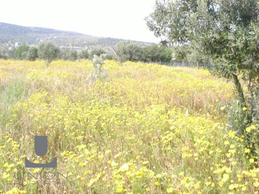 Οικόπεδο 5.702,75 τ.μ. πρός πώληση, Αθήνα - Ανατολικά Προάστια, Κορωπί