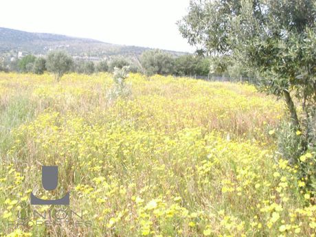 Οικόπεδο 5.702,75 τ.μ. προς πώληση