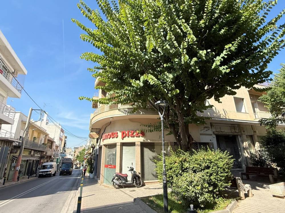 Κτίριο 237 τ.μ. πρός πώληση, Αθήνα - Νότια Προάστια, Βύρωνας