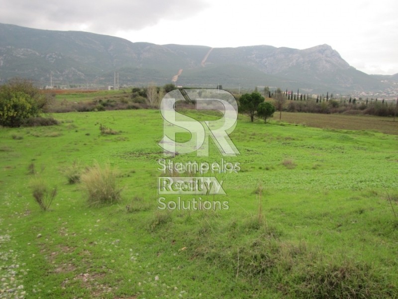Αγροτεμάχια 27.500 τ.μ. πρός πώληση, Αττική - Υπόλοιπο, Αυλώνα