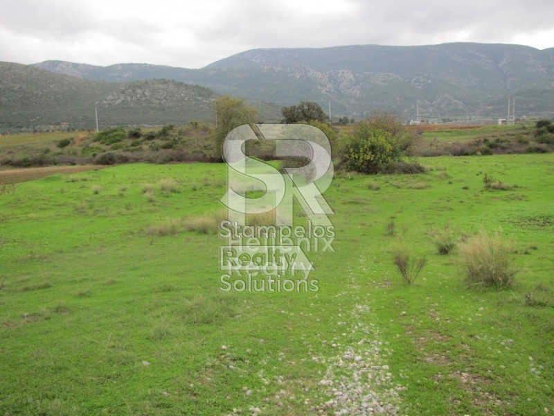 Αγροτεμάχια 27.500 τ.μ. πρός πώληση, Αττική - Υπόλοιπο, Αυλώνα