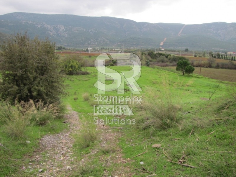 Αγροτεμάχια 27.500 τ.μ. πρός πώληση, Αττική - Υπόλοιπο, Αυλώνα