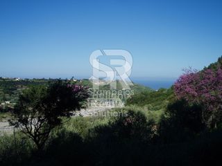 Οικόπεδο 8.500 τ.μ. πρός πώληση