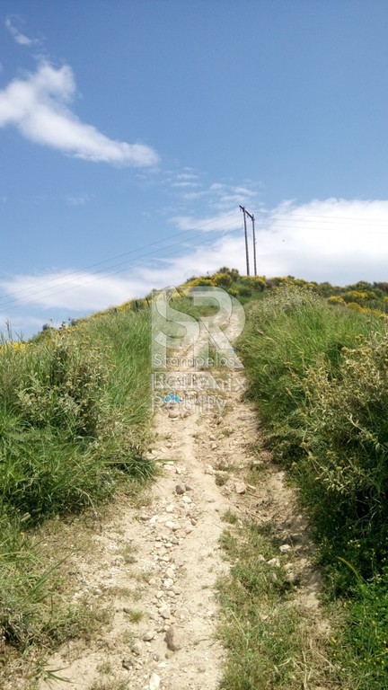 Οικόπεδο 13.400 τ.μ. πρός πώληση, Αχαΐα, Πάτρα