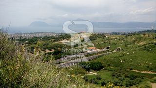 Οικόπεδο 13.400 τ.μ. προς πώληση, Σκιόεσσα-thumb-5