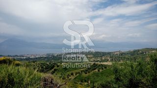 Οικόπεδο 13.400 τ.μ. προς πώληση, Σκιόεσσα-thumb-8