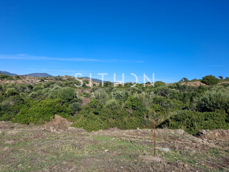 Οικόπεδο 500 τ.μ. προς πώληση, Σκάλα Συκέας