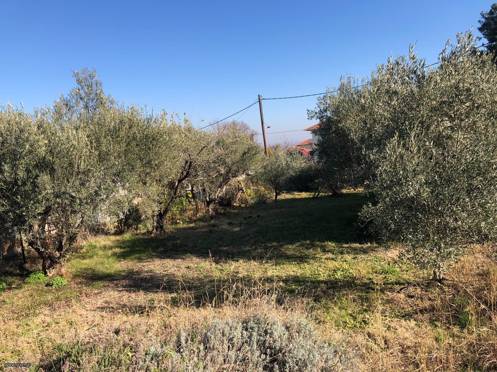 Μονοκατοικία 730 τ.μ. προς πώληση, Ημαθία, Δοβρά