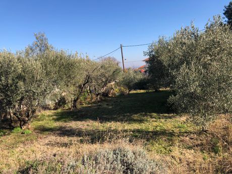 Μονοκατοικία 730 τ.μ. πρός πώληση