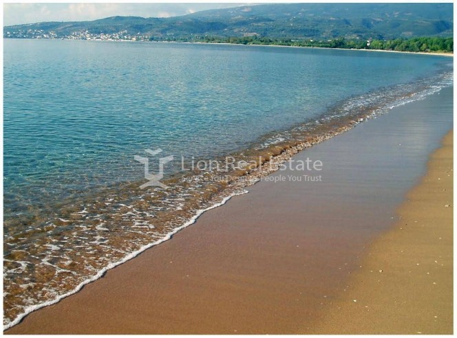 Οικόπεδο 250.000 τ.μ. πρός πώληση, Μεσσηνία, Καλαμάτα