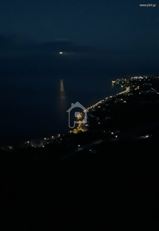 Οικόπεδο 4.200 τ.μ. προς πώληση, Κορινθία, Ευρωστίνη