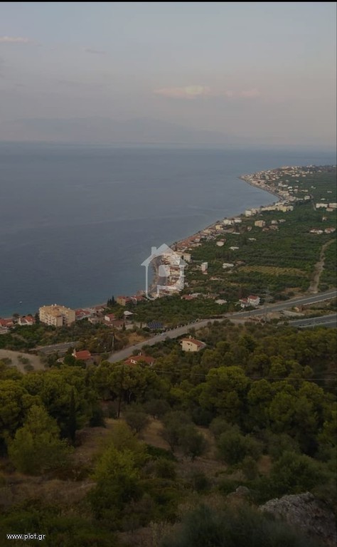 Οικόπεδο 4.200 τ.μ. προς πώληση, Κορινθία, Ευρωστίνη