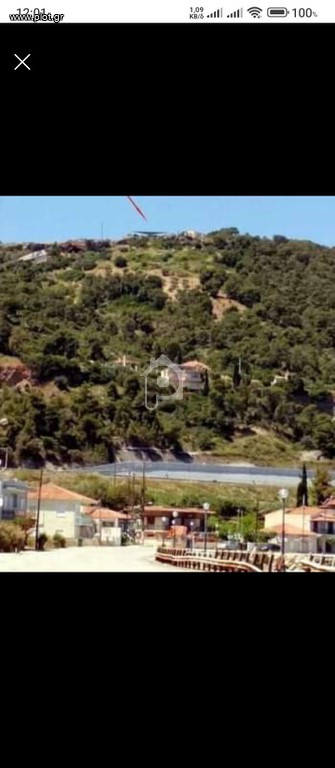 Οικόπεδο 4.200 τ.μ. προς πώληση, Κορινθία, Ευρωστίνη
