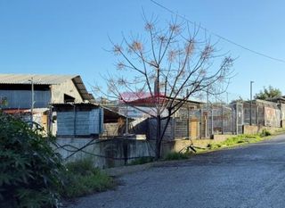 Αγροτεμάχια 3.093 τ.μ. πρός πώληση, Ν. Χανίων, Σούδα-thumb-5