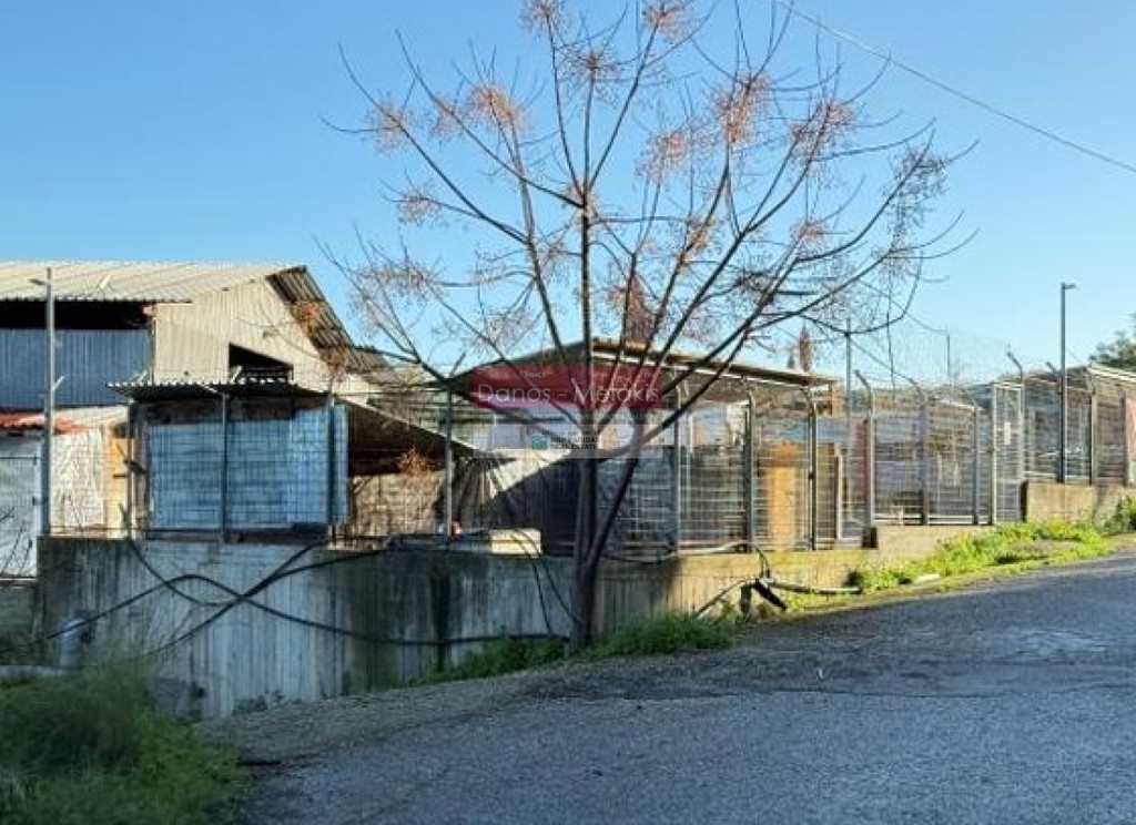Αγροτεμάχια 3.093 τ.μ. πρός πώληση, Ν. Χανίων, Σούδα
