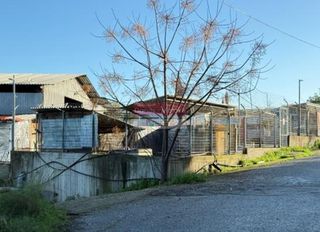 Αγροτεμάχια 3.093 τ.μ. πρός πώληση, Ν. Χανίων, Σούδα-thumb-3