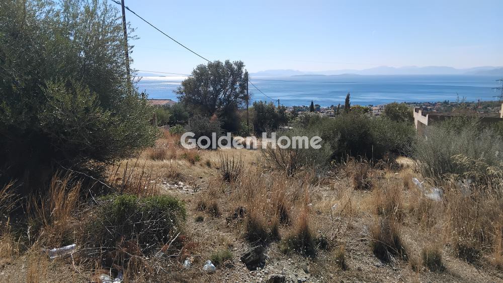 Αγροτεμάχια 293 τ.μ. πρός πώληση, Αττική - Υπόλοιπο, Μέγαρα